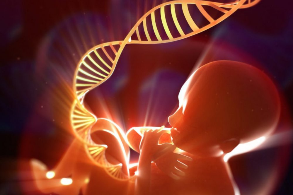 Что такое генетическая детская психология?